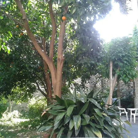 Corvina Casa di campagna Acebo