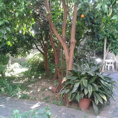 Corvina בית כפרי *