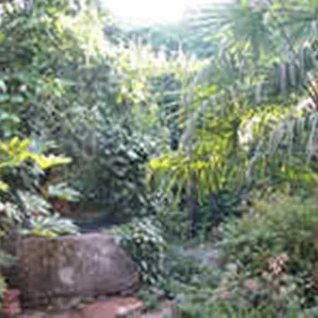 Corvina Casa di campagna