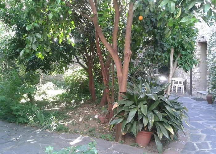 Corvina Casa di campagna *