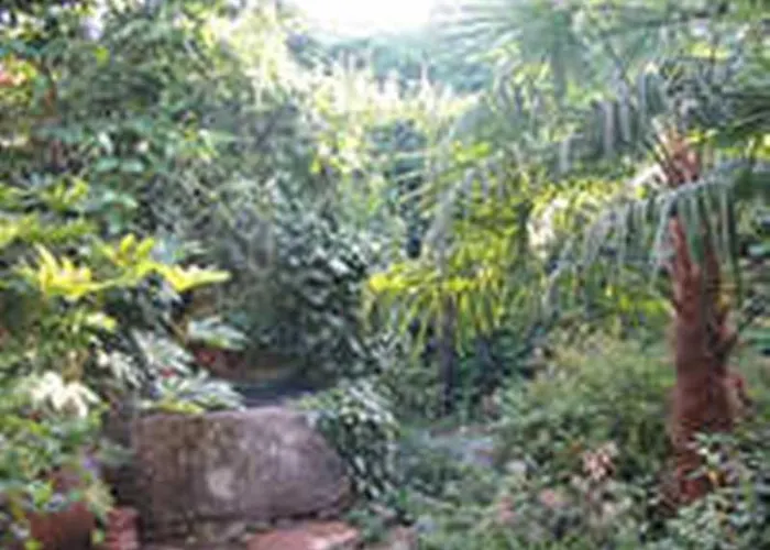 Corvina בית כפרי